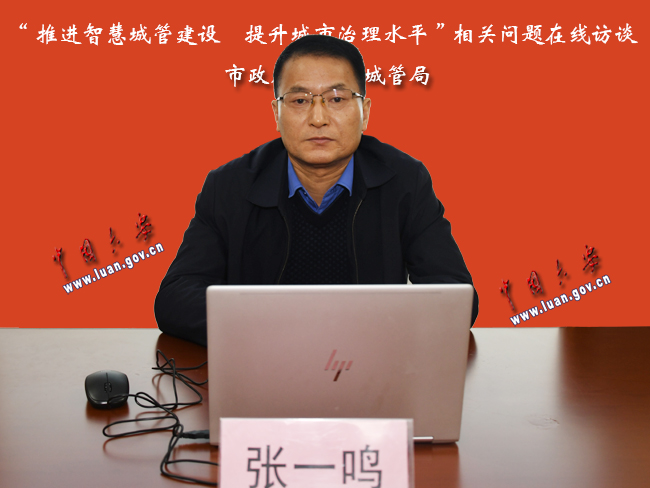 推进智慧城管建设 提升城市治理水平