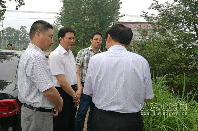 高斌到裕安区调研_六安市人民政府