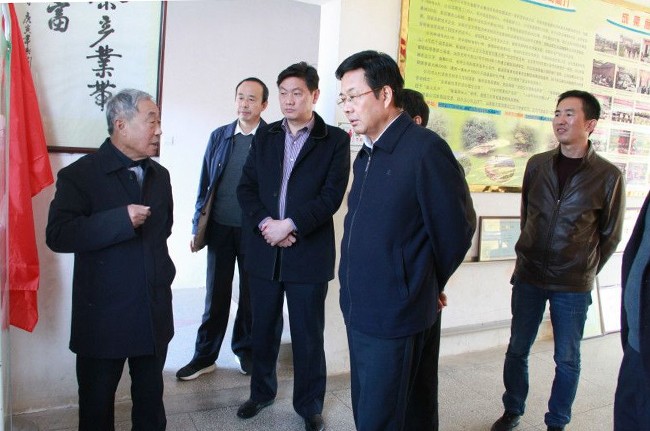 市委常委,政法委书记高斌来到河棚镇调研指导基层党建等工作