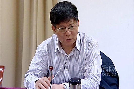 市委常委,常务副市长王胜出席会议并讲话