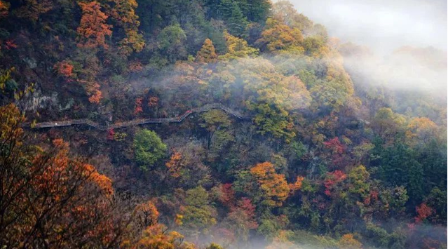 秋色马鬃岭