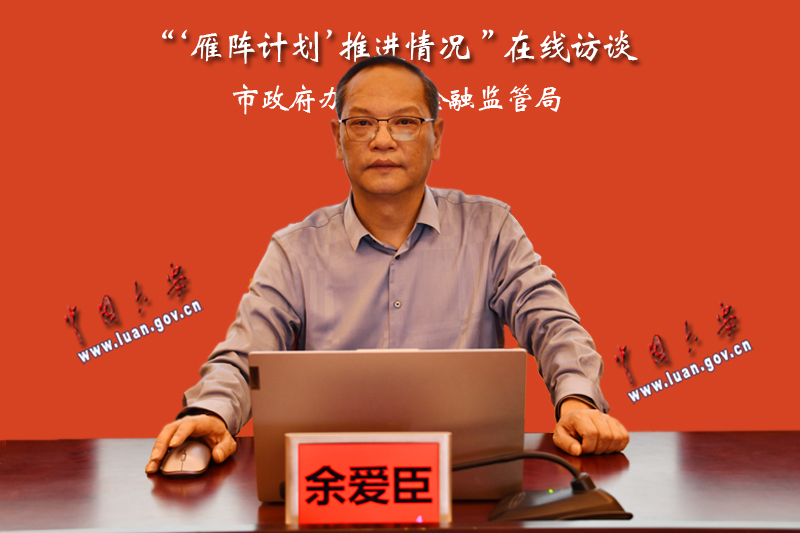“雁阵计划”推进情况