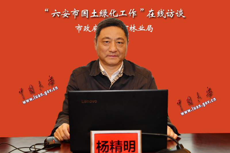 在线嘉宾 市林业局党组书记、局长 杨精明