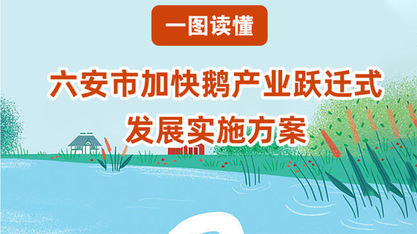 【图片解读】六安市人民政府办公室关于印发六安市加快鹅产业跃迁式发展实施方案的通知