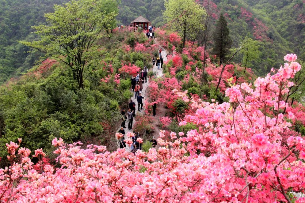 春游江淮请来六安春色满园关不住大别山中别样红