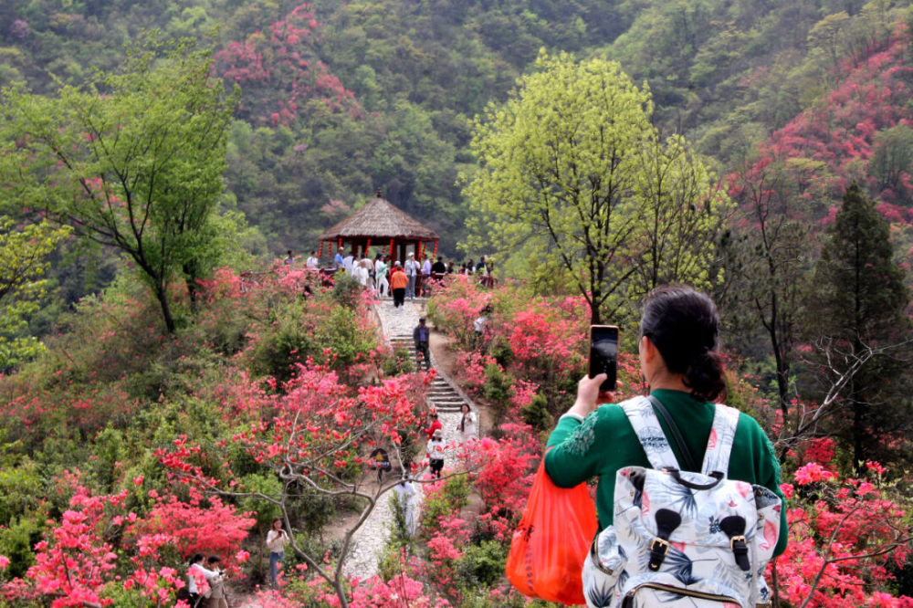 春游江淮请来六安春色满园关不住大别山中别样红