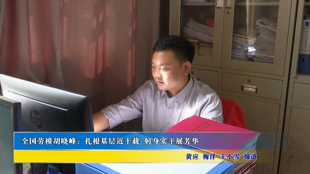 全国劳模胡晓峰：扎根基层近十载 躬身实干展芳华