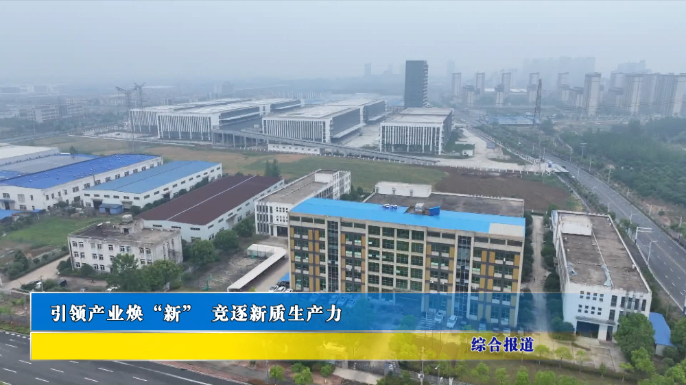 引领产业焕“新” 竞逐新质生产力