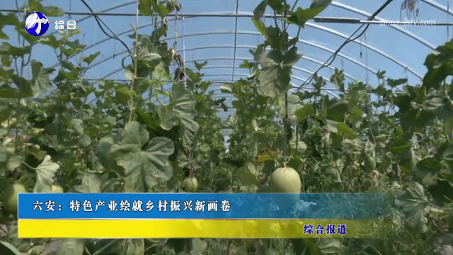 六安：特色产业绘就乡村振兴新画卷