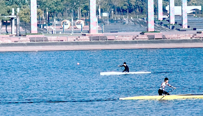 深秋挥桨淠水欢歌