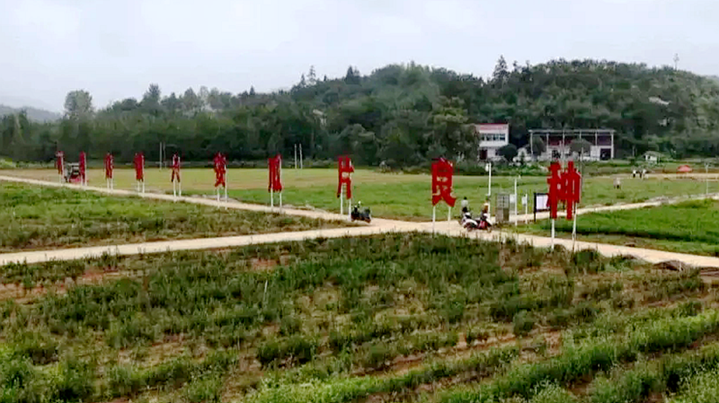 An Annual Output Value of 380 Million Yuan! 