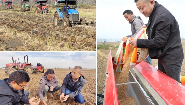 “淮上粮仓”秋种忙