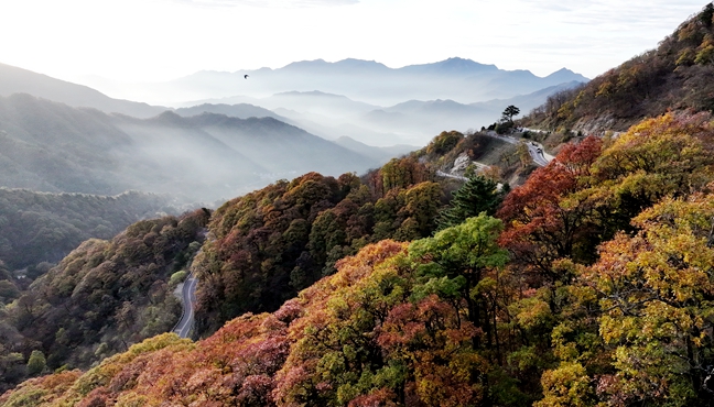 层林染秋意　赏秋正当时