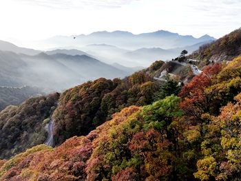 层林染秋意　赏秋正当时