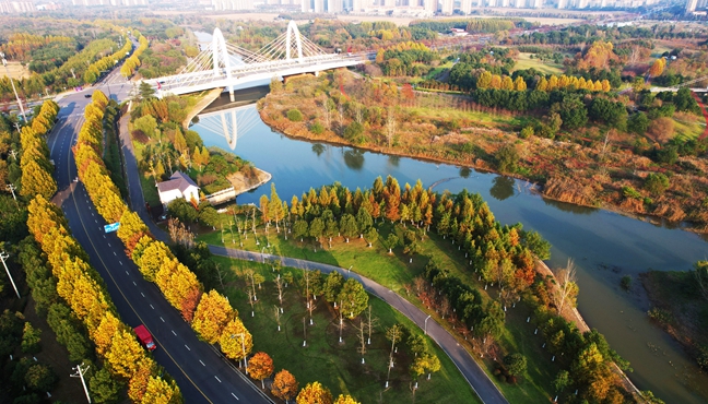 湿地公园　冬景如画