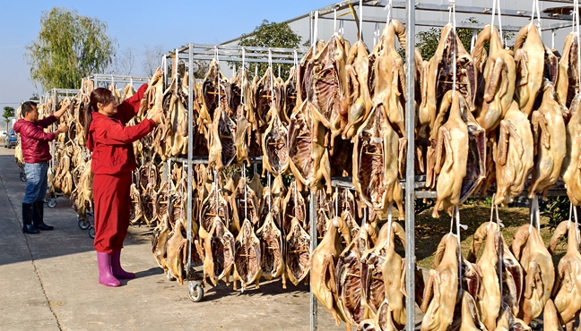 腊鹅飘香产销两旺