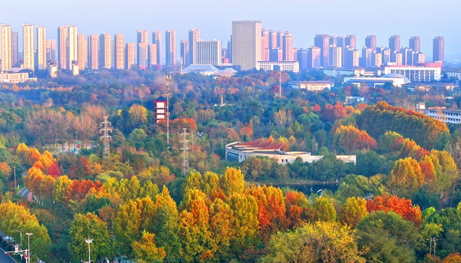 色彩斑斓美景如画