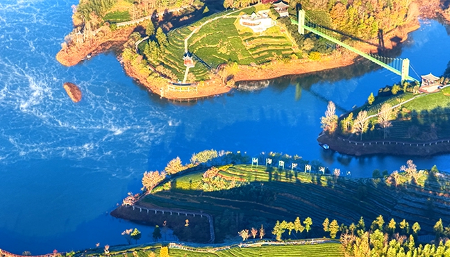 雾笼茶谷　美若画卷