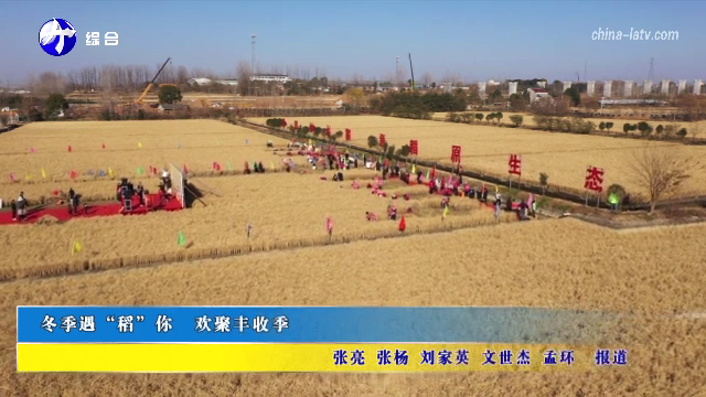 冬季遇“稻”你 欢聚丰收季