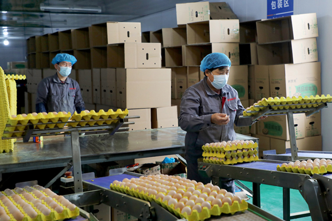 产销两旺　赋能振兴