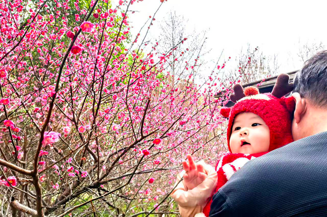 梅花竞放春意“萌”