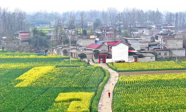 春和景明 美丽乡村