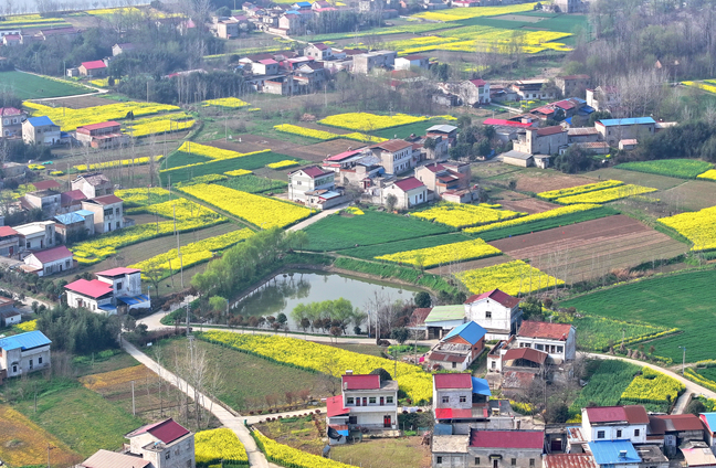 飞“阅”田野春色