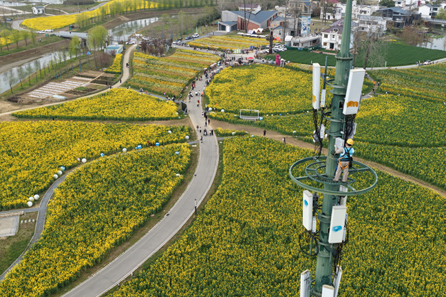 5G信号满格　花海“云端”绽放