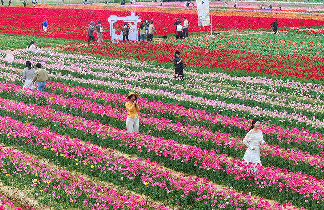 “郁”见最美春光