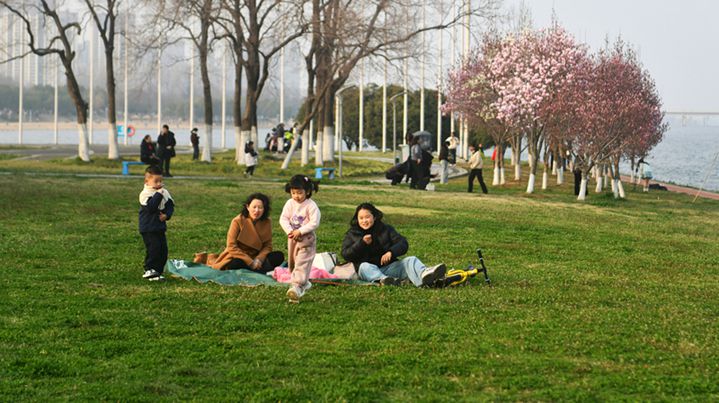 Enjoying the Beauty of Spring