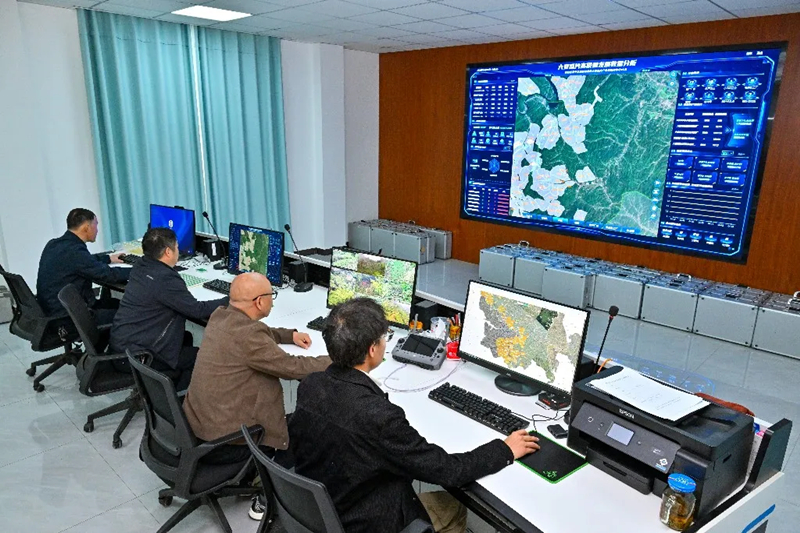 六安瓜片用上“智慧大脑”