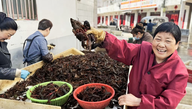 小龙虾上市忙