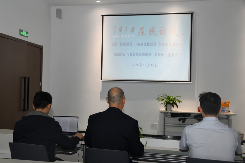 “指尖上的便民生活—‘ 皖事通 ' ”在线访谈现场