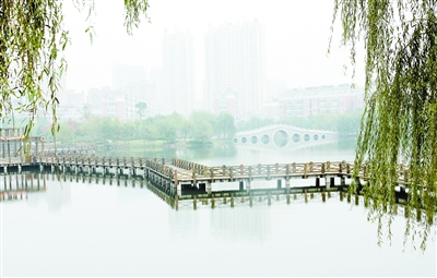 20141115101029177_wBuNQzHS.jpg