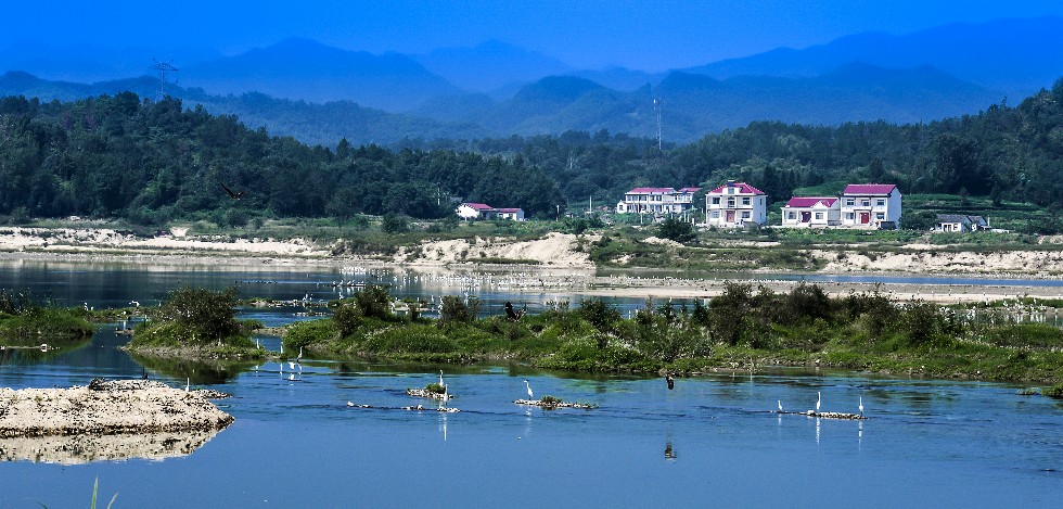淠河鸟语--马载勤.jpg