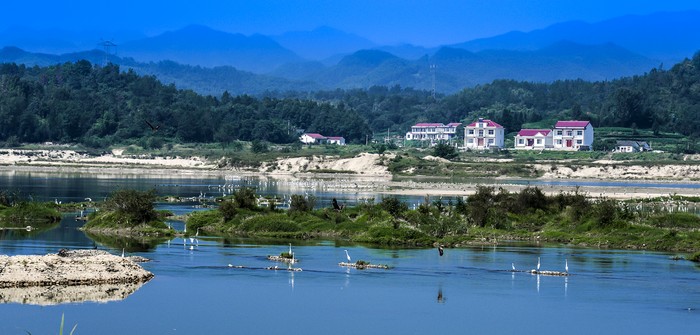 淠河鸟语