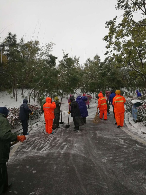 职工扫雪.jpg