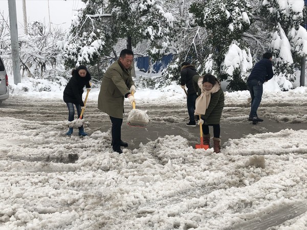 领导亲自组织铲雪.png