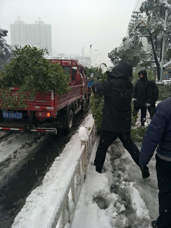 QQ图片20180104155938.jpg